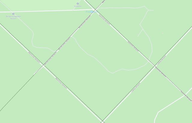 Flurkarte Grünwalder Forst